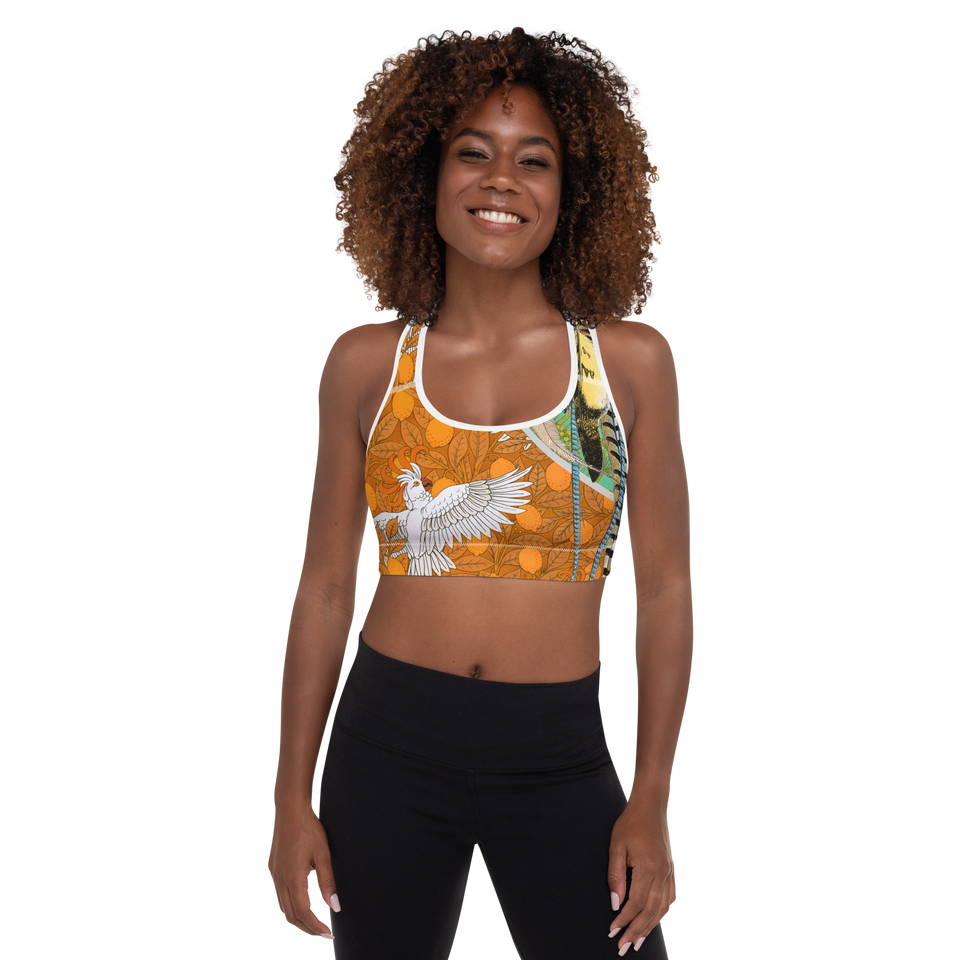 Paradis Orange Padded Sports Bra